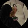 ِ profil fotoğrafı
