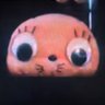 Profilbild von YAGI SAKAGUCHI