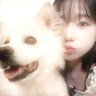 Noon's profile picture
