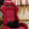 chevy's profile picture