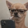 Right by Far's profile picture