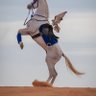 عبدالمجيد profil fotoğrafı