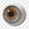 Profilbild von 眼球