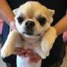 もっちゃん profil fotoğrafı