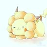 halu's profile picture