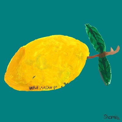 akio_fujimoto's profile picture