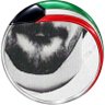 Profilbild von ابو محمد السويط🇰🇼