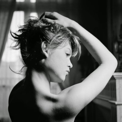 French Carcan's profile picture