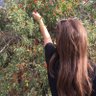 irem tepe's profile picture