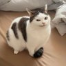 Profilbild von Bulu Kate