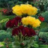 ❤️‍🔥💐❤️‍🔥💐❤️‍🔥💐❤️‍🔥💐❤️‍🔥💐❤️‍🔥💐❤️‍🔥 profil fotoğrafı