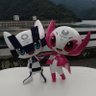 現物主義's profile picture