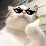 ไม่โชคดีแล้ว (พักก่อนนะ)'s profile picture