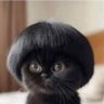 Bruce Wee Fella's profile picture