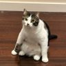 dotti 的头像