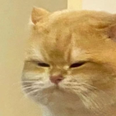 Yu's profile picture