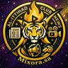 Фото профиля Mixora