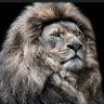 Profilbild von raigninblack