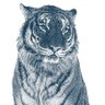 Profilbild von Swaraj