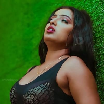 shynashree's profile picture