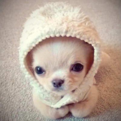 인감's profile picture