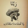 عمرو 的头像