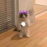 Profilbild von Annie22 ⊙⊝⊜⁷