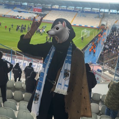 Kübra's profile picture