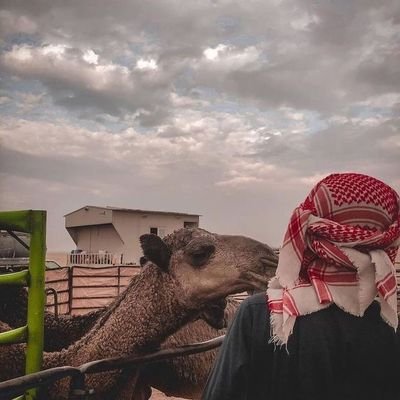 مجيد | Majeed's profile picture