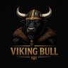 TheViking 的头像