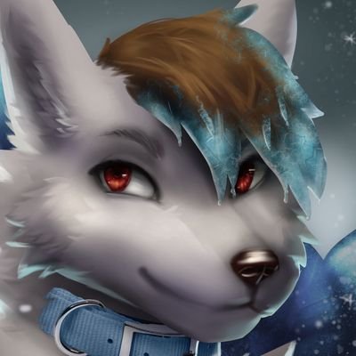 _Sn0wFox_'s profile picture