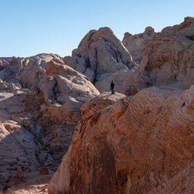 wheeler244's profile picture