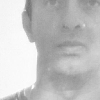 Nikolái's profile picture