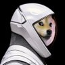 Dogecoin 𝕏 Post profil fotoğrafı