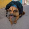 Allu Reddy ! profil fotoğrafı