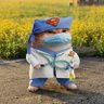 Фото профиля Pet Vet Fella