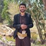 محمد حمود الاشول 的头像