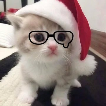 超爱夜拍的欣然's profile picture