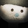 Profilbild von BEAR