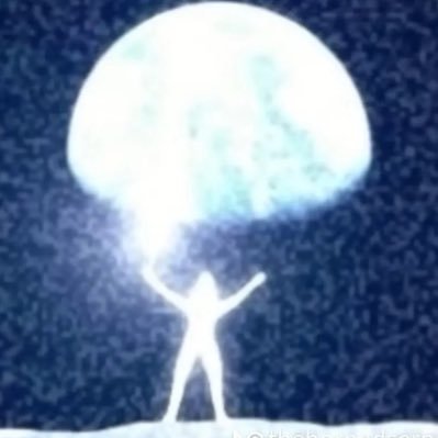 zenn's profile picture
