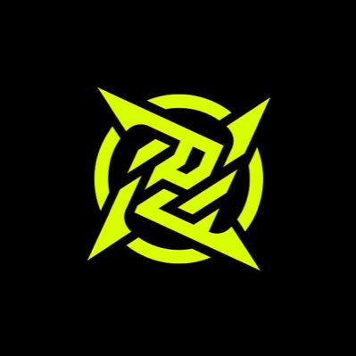 Ninjas In Pyjamas's profile picture