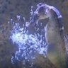 Porioh's profile picture
