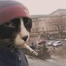 mason profil fotoğrafı