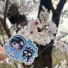 Profilbild von ゆー
