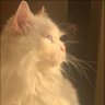 𝐌𝐚𝐬 | profil fotoğrafı