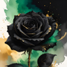 BlackRose Ireland's profile picture