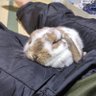 Profilbild von Kitakata
