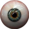 Febril's profile picture