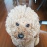 Profilbild von siep