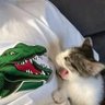 SuperFlYY111's profile picture